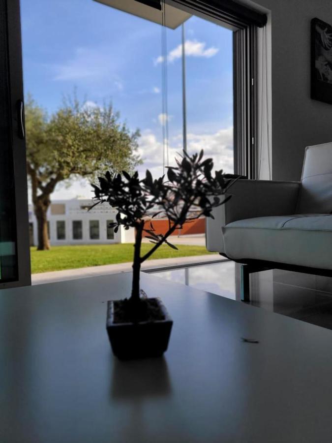 Ferienwohnung Olive Ap. Torreira Exterior foto